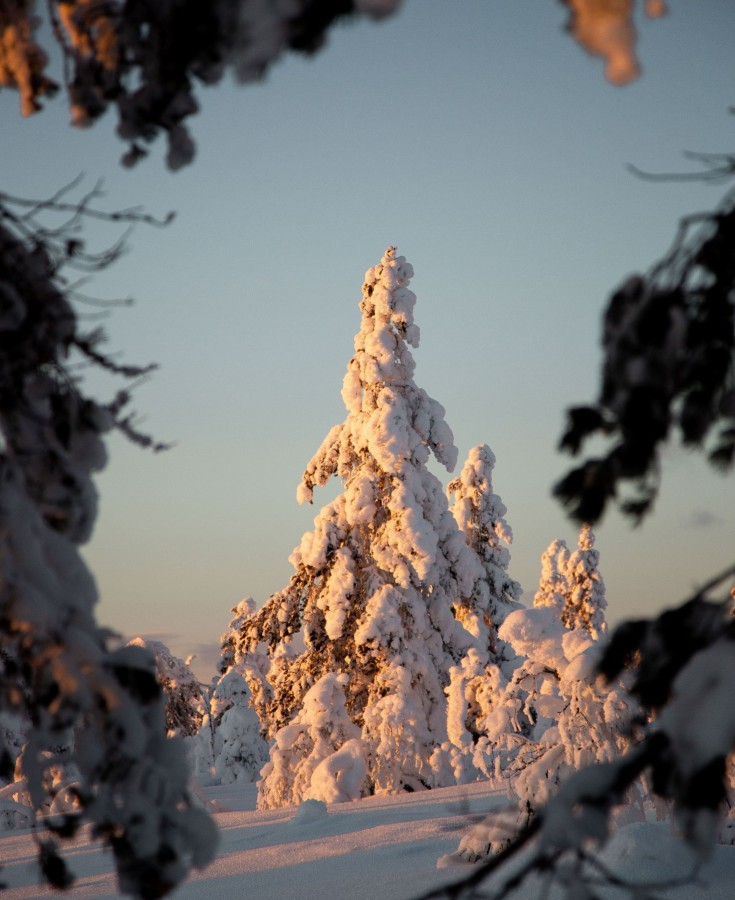 by Mikaela Stenström on Unsplash