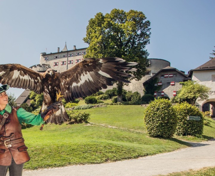 Burg Hohenwerfen Greifvogelschau © SalzburgerLand Tourismus - Eva trifft.