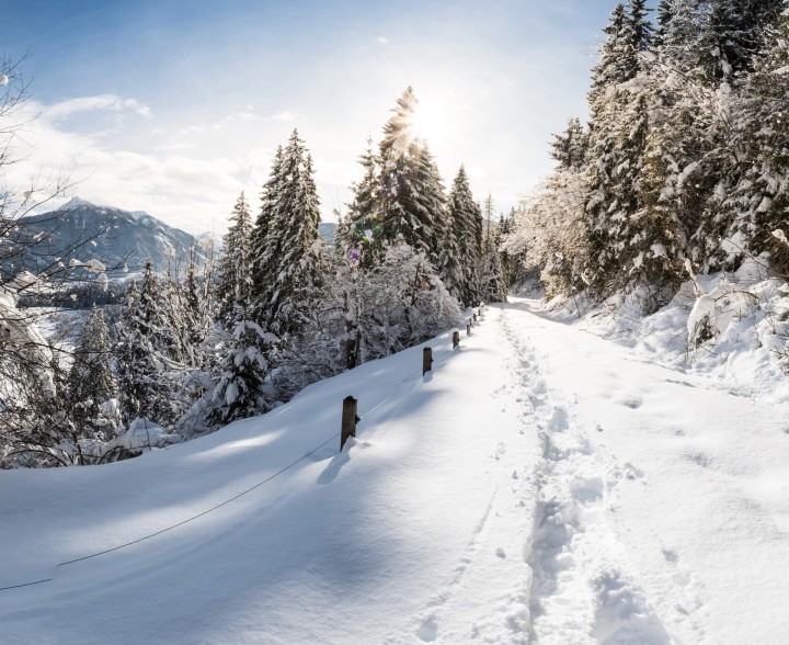 Schneereiche Monate in Flachau © Flachau Tourismus / Verena Buchsteiner